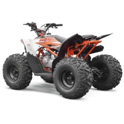 Quad